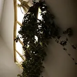 Turisticna Kmetija In Pivovarna Flajs